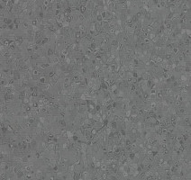 Линолеум Forbo Sphera Element 50006 anthracite фото 1 | FLOORDEALER